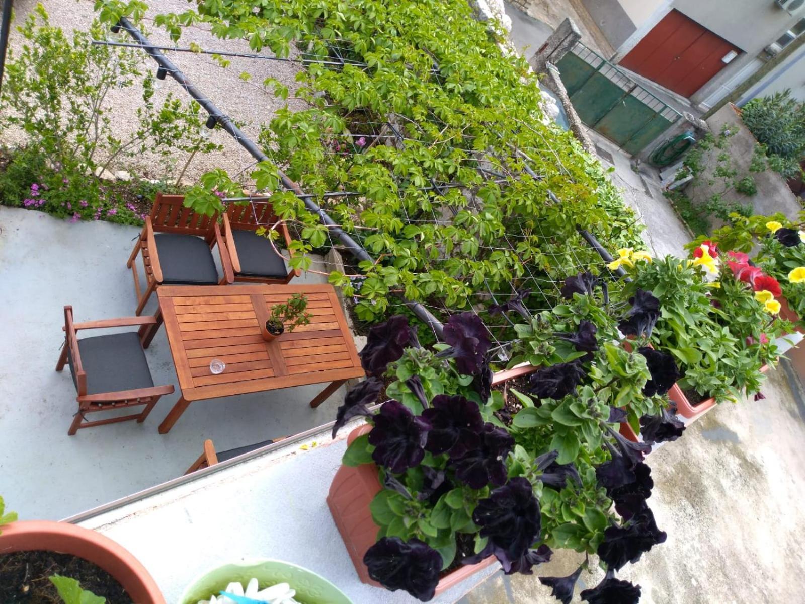 Green Oasis City Center Apartment 希贝尼克 外观 照片